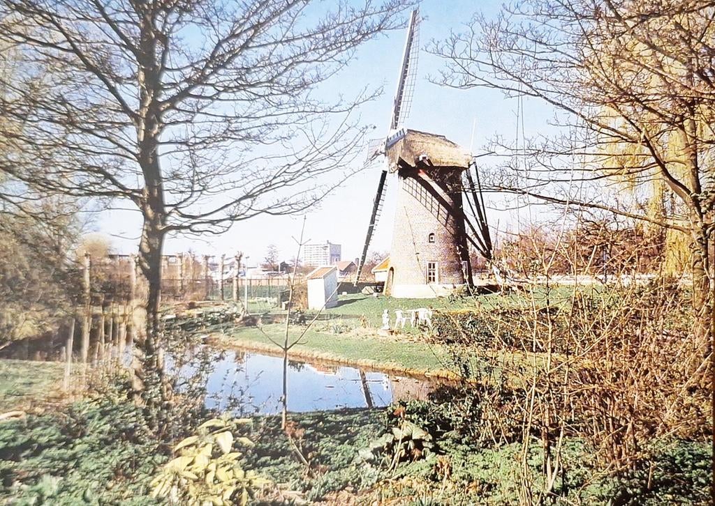 Maassluis - Wippersmolen, Verzamelen, Ansichtkaarten | Nederland, Ophalen of Verzenden, Ongelopen, Zuid-Holland