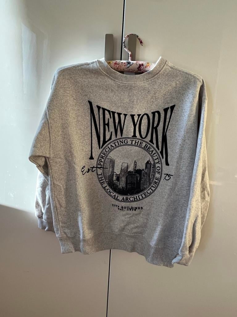 Grijze trui met New York opdruk, Ophalen of Verzenden, Gebruikt, Meisje, Trui of Vest