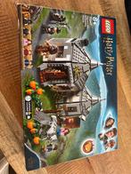 LEGO Harry Potter Hagrid's Hut: Buckbeak's Rescue 75947, Ophalen of Verzenden