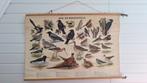 Schoolplaat bos- en weidevogels, Antiek en Kunst, Antiek | Schoolplaten, Ophalen, Natuur en Biologie