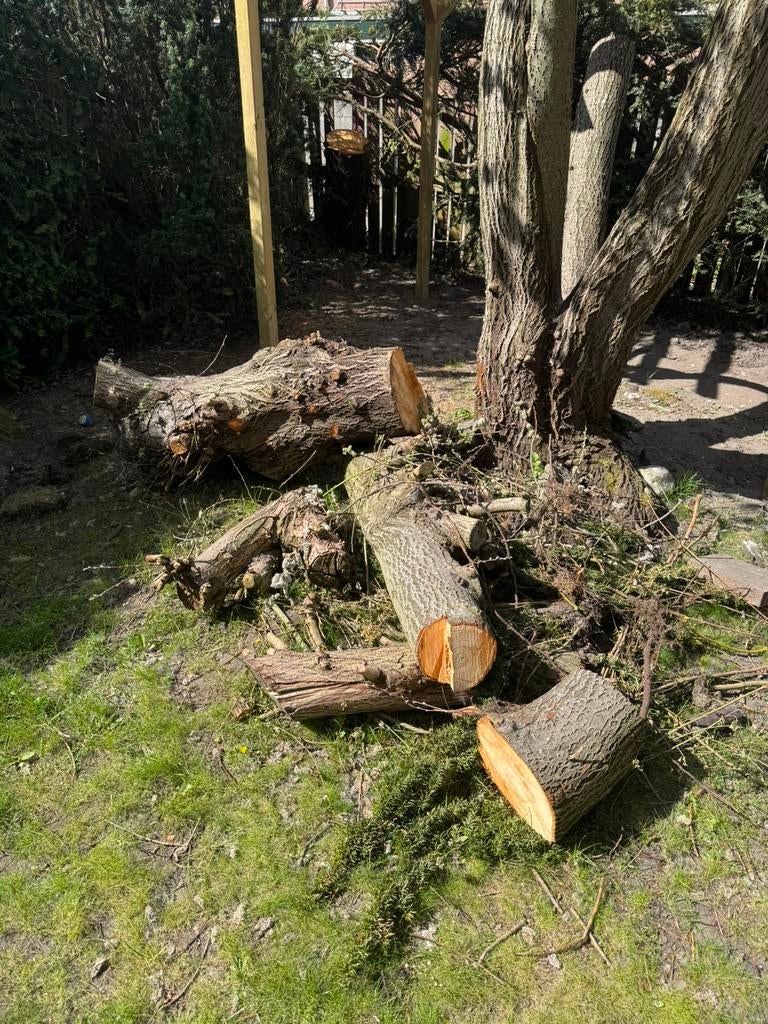 Hout gratis afhalen, Tuin en Terras, Haardhout, Minder dan 3 m³, Ophalen
