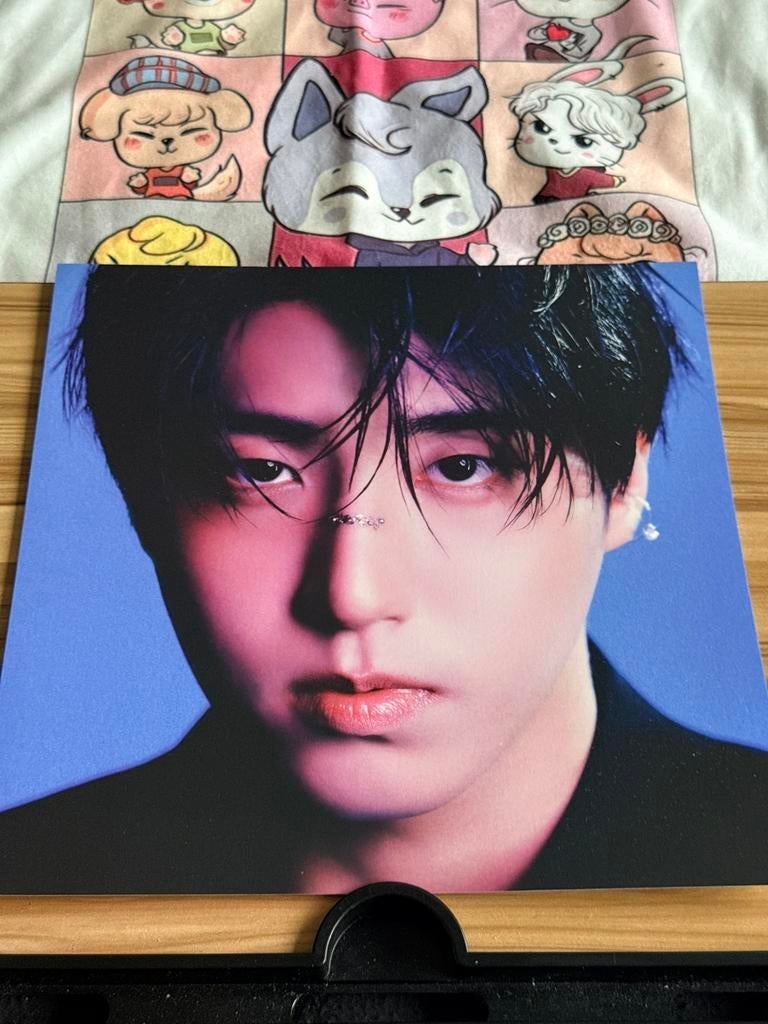 Stray Kids Han poster karma, Ophalen of Verzenden, Zo goed als nieuw, Foto of Kaart