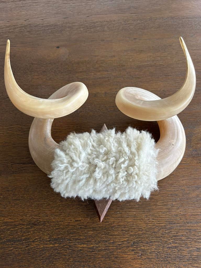 Hoorns met wol van ram uit noorwegen, Ophalen of Verzenden, Gebruikt, Overige soorten, Gewei of Kop