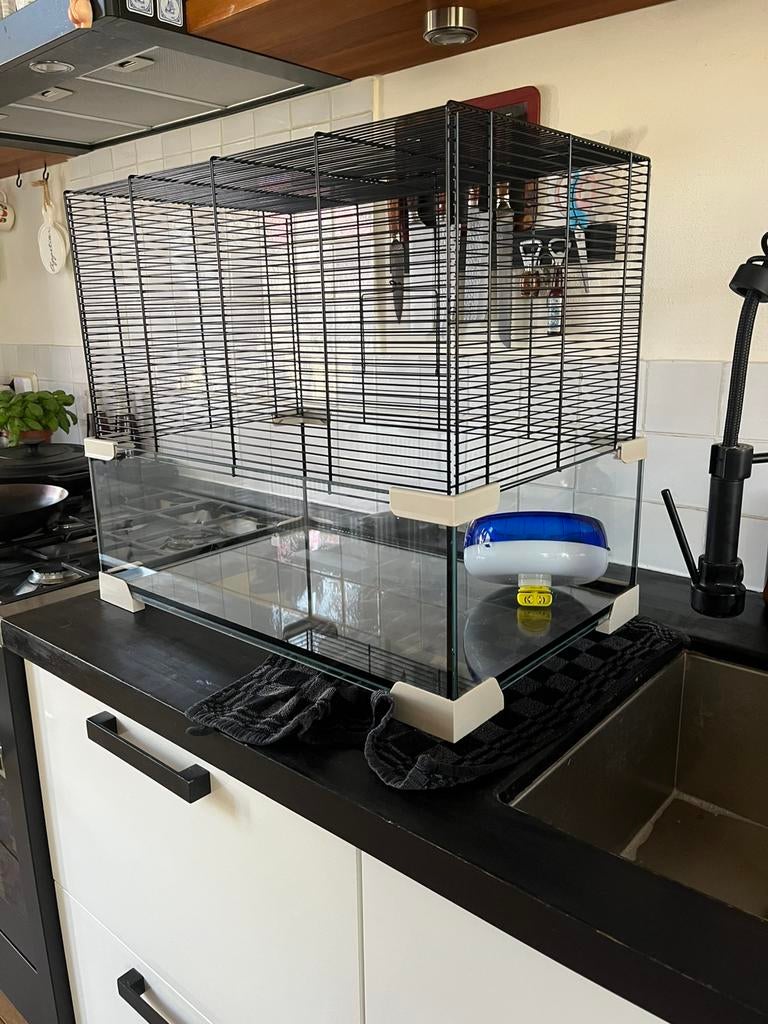 Ferplast Hamsterkooi | knaagdierenkooi incl toebehoren, Dieren en Toebehoren, Kooi, Gebruikt, Minder dan 75 cm, Hamster
