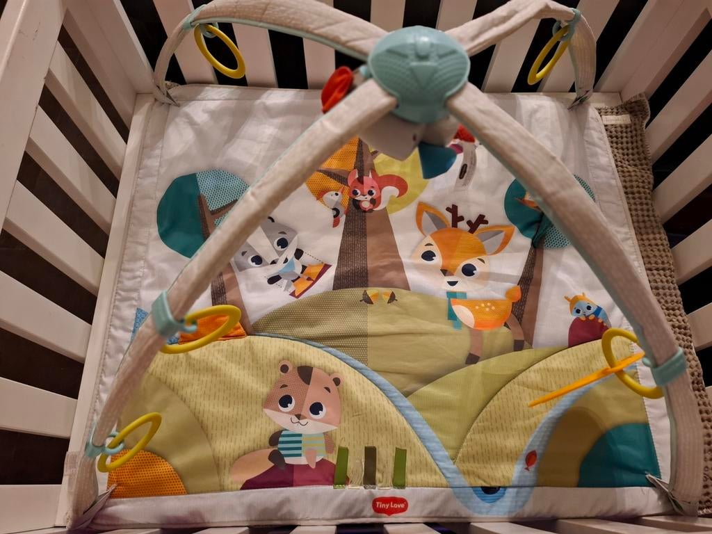 Speelkleed Tiny Love, Ophalen, Gebruikt