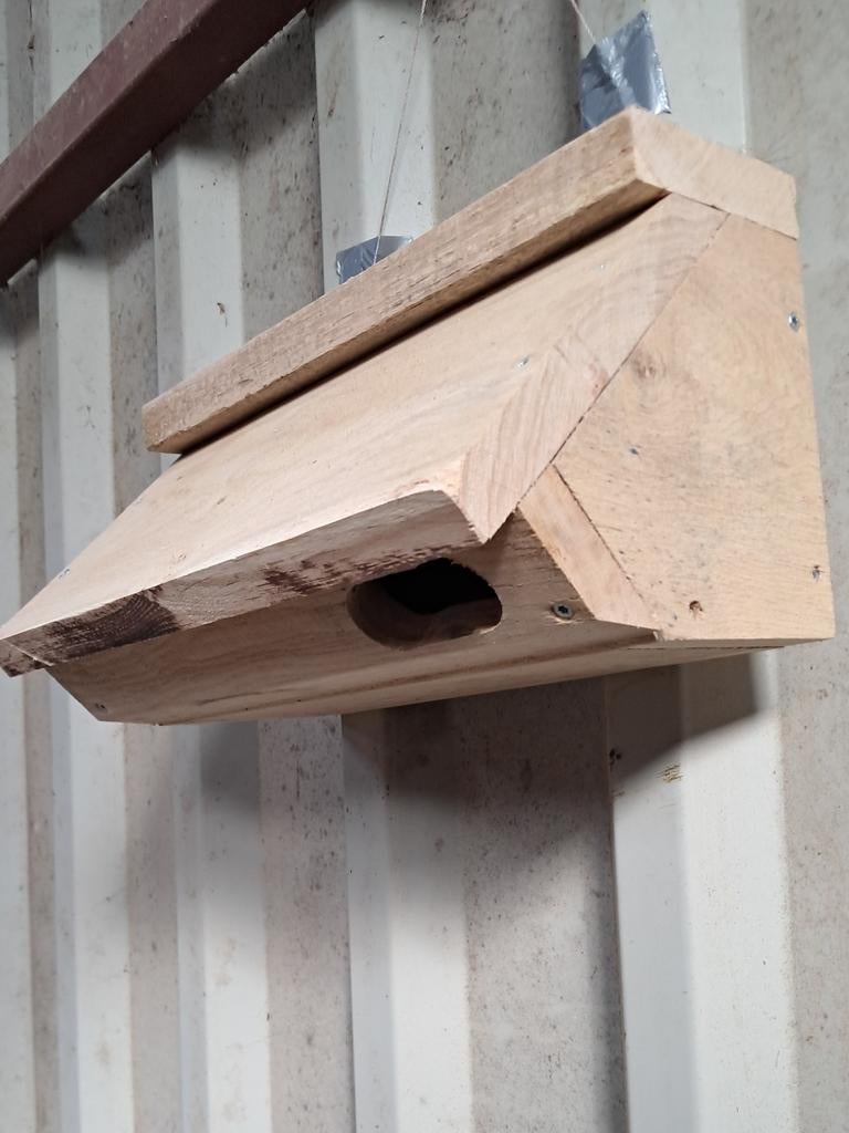 Gierzwaluw nest, Ophalen, Nieuw, Hout, Broedkooi of Kweekkooi