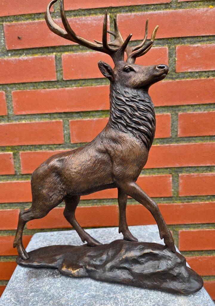 bronzen beeld / HERT/ 36 cm hoog / EDELHERT, Ophalen of Verzenden, Handgemaakt, Brons