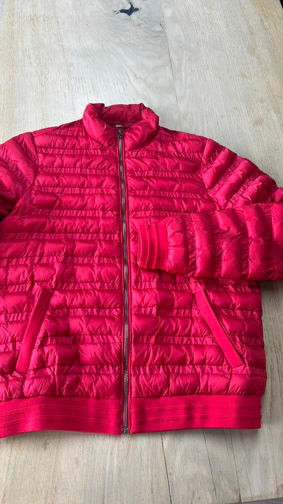 Bien Bleu jas medium zgan rood gewatteerd, Kleding | Dames, Jassen | Winter, Ophalen of Verzenden, Zo goed als nieuw, Maat 38/40 (M)