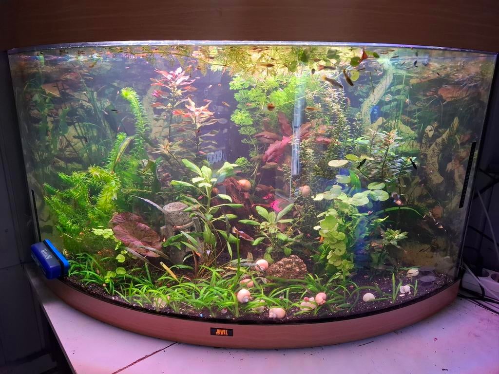 Juwel Trigon 190, Dieren en Toebehoren, Vissen | Aquaria en Toebehoren, Ophalen of Verzenden, Leeg aquarium