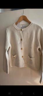 Zara, Zara, Ophalen of Verzenden, Zo goed als nieuw, Maat 42/44 (L)