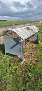 Schapen hooiruif, Dieren en Toebehoren, Meerdere dieren, Schaap