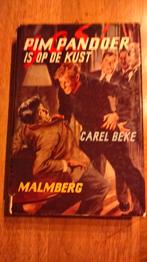 Pim Pandoer, Ophalen of Verzenden, Gelezen, Fictie
