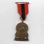 Medaille uit Kapel-Avezaath, Ophalen of Verzenden, Overige materialen, Nederland