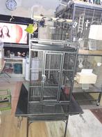 vogel kooi voor Pyrrhura vogel, Ophalen, Zo goed als nieuw, Metaal, Vogelkooi