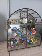 Glazen kastje met vlinders, Ophalen