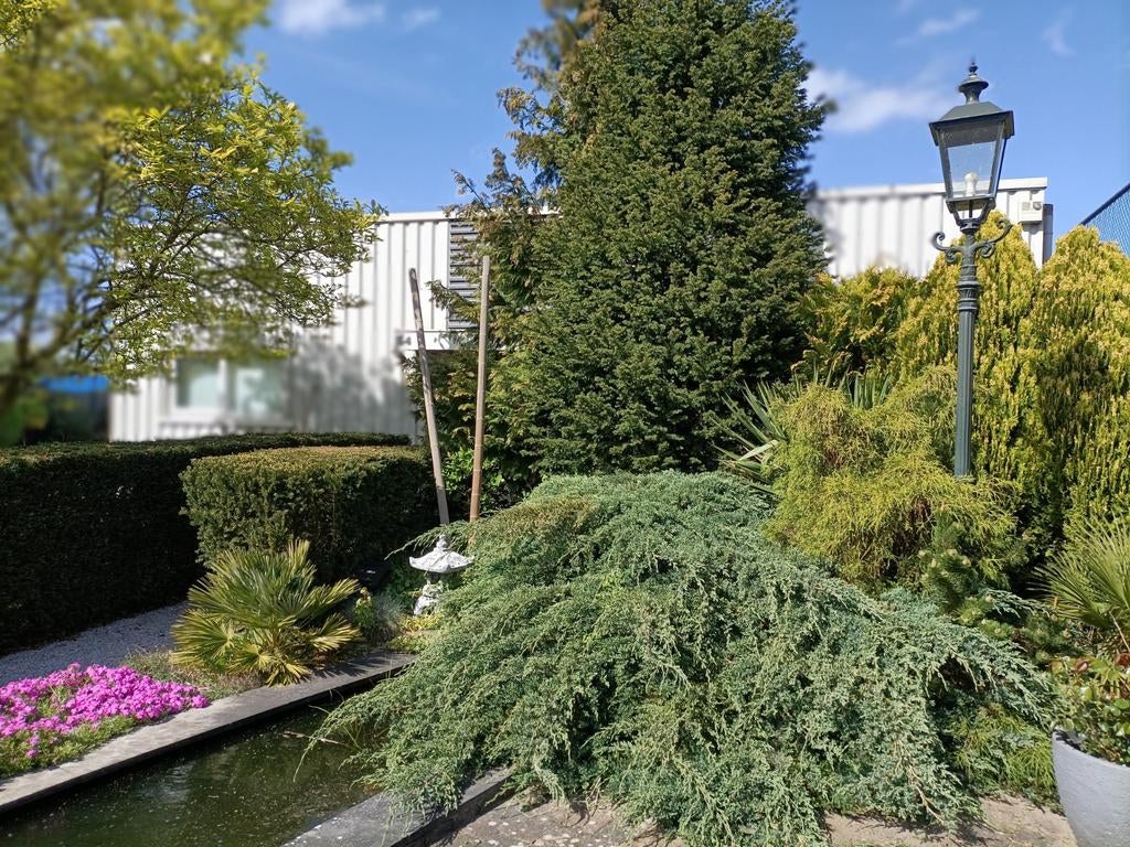 Tuinman / Hovenier (natuurlijke tuinen), Garantie, Tuinontwerp