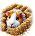 10 Cavia auto, laptop ,koelkast, kliko stickers set 2, Verzenden