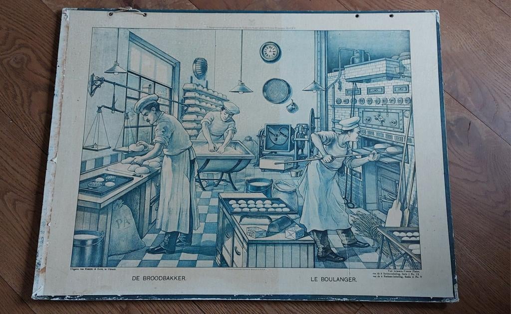 Oude plaat  "de bakker", Ophalen, Natuur en Biologie