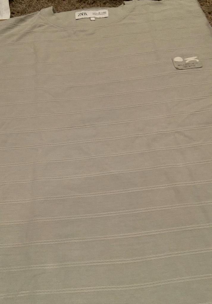 Zara t-shirt size 11-12, Kleding | Heren, T-shirts, Ophalen of Verzenden, Gedragen, Maat 46 (S) of kleiner, Overige kleuren