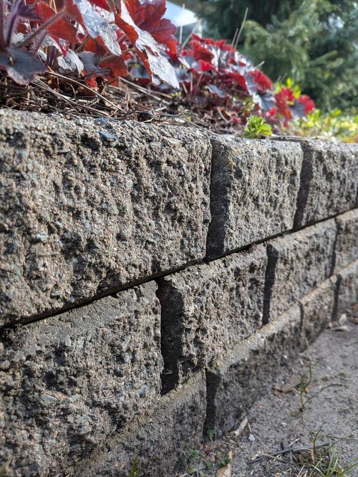 Gebruikte betonnen klinkers voor tuin of oprit, Tuin en Terras, Tegels en Klinkers, Gebruikt, Klinkers, Beton, 10 m² of meer, Ophalen