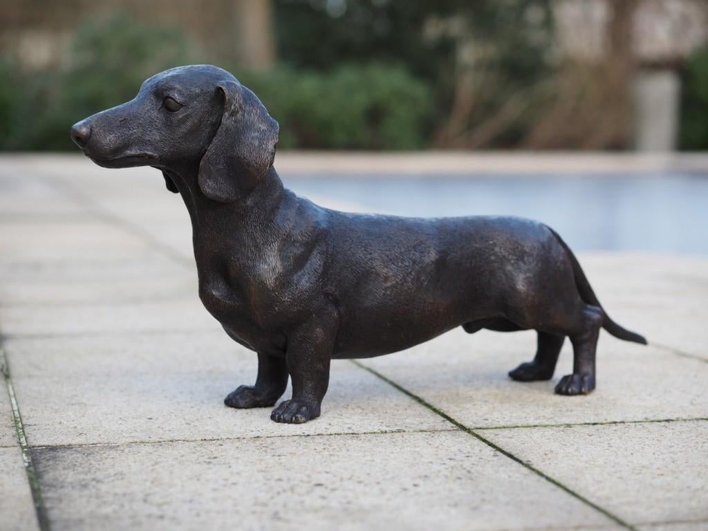 TECKEL / 2 MATEN / TEKKEL/ HOND / TUINBEELD/