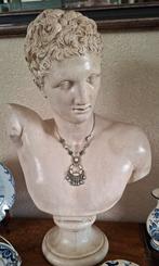 Griekse Adonis, Ophalen