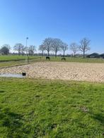 24/7 weidegang aangeboden Klarenbeek, Dieren en Toebehoren, Stalling en Weidegang, Stalling