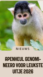 4 Kaartjes apenheul €15 p.p., Ticket of Toegangskaart