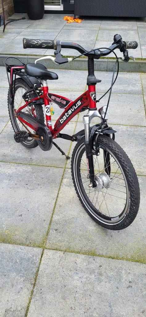 Batavus snake 20 inch, Ophalen, Batavus, 20 inch, Handrem