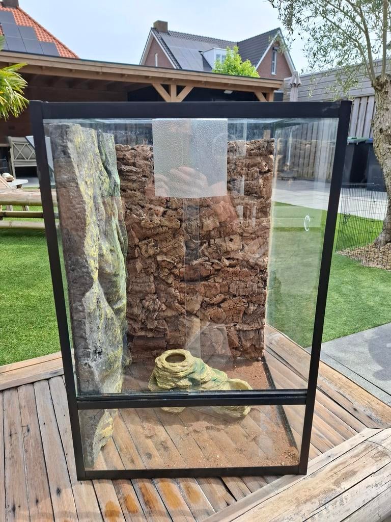 Terrarium voor gekko gecko reptiel, Dieren en Toebehoren, Reptielen en Amfibieën | Toebehoren, Ophalen