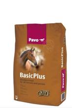 Pavo basis brok, Ophalen of Verzenden, Nieuw, Overige soorten