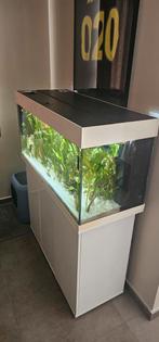 Aquarium 180 liter, Dieren en Toebehoren, Vissen | Aquaria en Toebehoren, Ophalen of Verzenden, Leeg aquarium