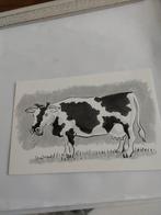 KOE., Ophalen of Verzenden, 1980 tot heden