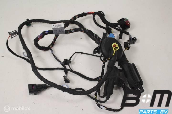 Kabelboom links voor Audi A3 8V Limo 8V491029G, Gebruikt