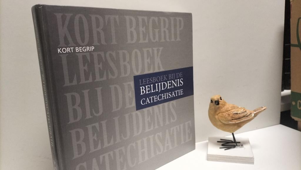 Hogchem, Ds. C.; Leesboek bij de belijdenis catechisatie, Boeken, Ophalen of Verzenden, Gelezen, Christendom | Protestants