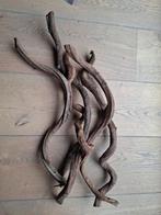 Gedroogde lianen - 55cm - 5 stuks, Ophalen of Verzenden, Gebruikt