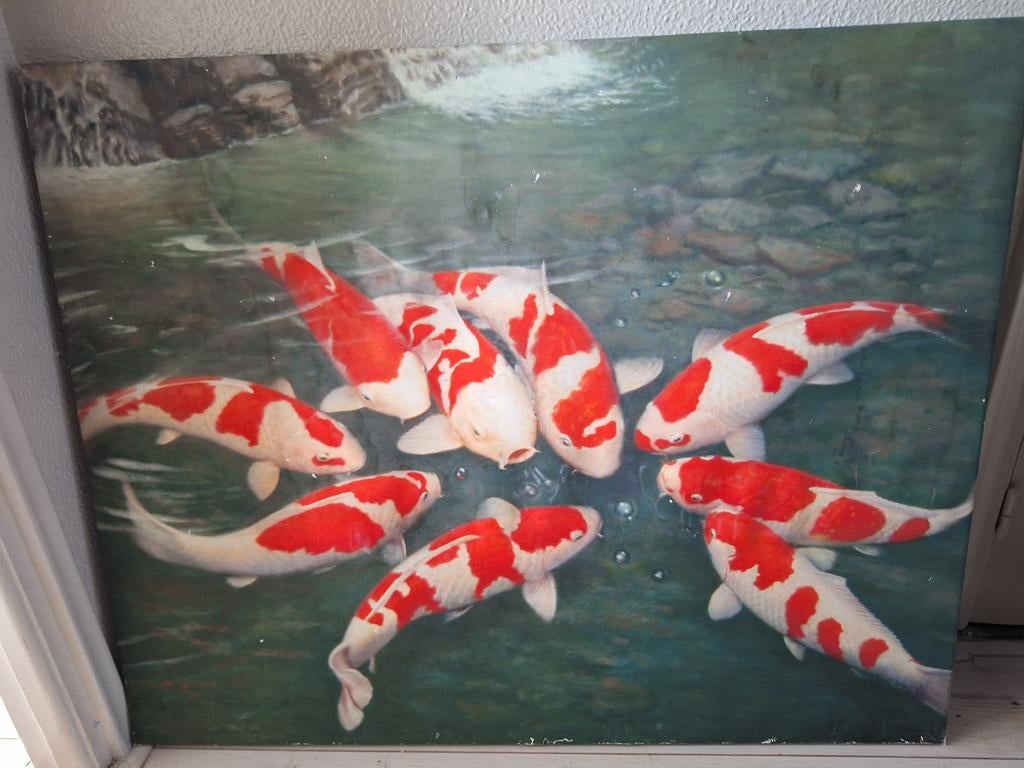 Schilderij met Koi Karpers ruim 1meter breed, Ophalen of Verzenden