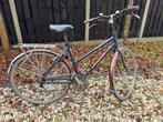 Damesfiets Batavus Cibola 53 cm, Fietsen en Brommers, Ophalen, Versnellingen, Batavus, 53 tot 56 cm