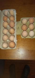 Biologische eieren heerlijk vers, Diversen, Levensmiddelen, Ophalen