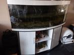 Te koop Juwel aquarium 150cm breed, Ophalen, Leeg aquarium