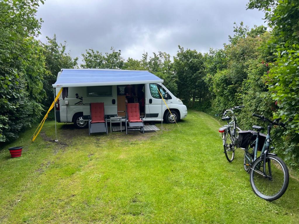 trigano Sportvan (1043347), Overige merken, Fiat, Tot en met 2, Treinzit