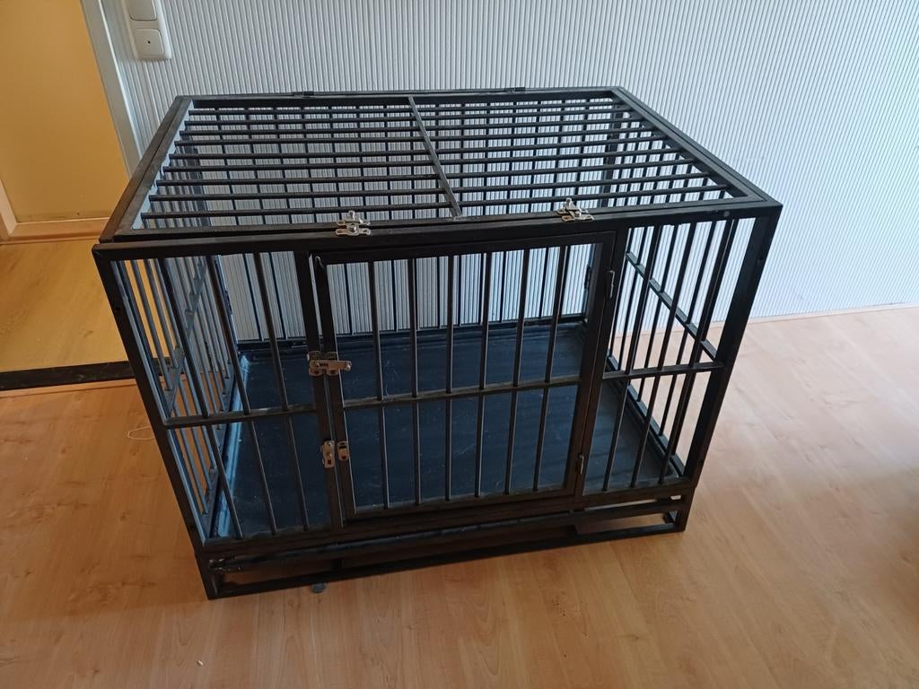 Bech, Dieren en Toebehoren, Ophalen