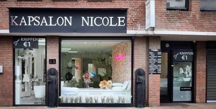 Kapsalon, knippen voor maar €17 !, Diensten en Vakmensen, Kappers en Thuiskappers, Knippen, Permanenten, Verven of Highlights