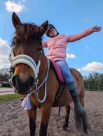 Wei/stalling gezocht, Dieren en Toebehoren, Ophalen of Verzenden