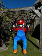 MARIO & LUIGI mascotte te huur ‼️, Ophalen, Zo goed als nieuw, Verjaardag