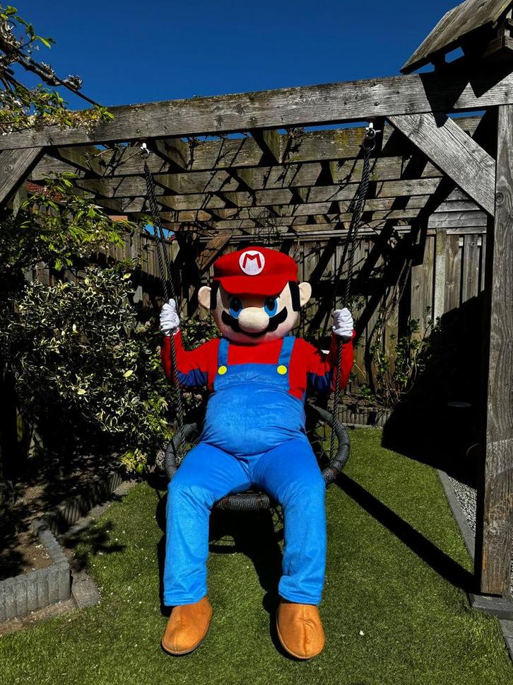 MARIO & LUIGI mascotte te huur ‼️, Hobby en Vrije tijd, Feestartikelen | Verhuur, Zo goed als nieuw, Verjaardag, Ophalen