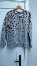 Scotch&Soda sweater maat M, Ophalen of Verzenden, Zo goed als nieuw, Maat 38/40 (M), Grijs