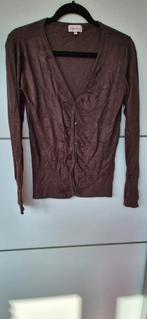 Vestje met knoopjes, maat L, B. Bocelli, Bruin, Maat 42/44 (L), Ophalen of Verzenden