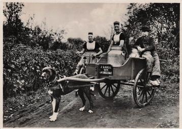 AZ179 Koudekerke hondenkar J. Koole klederdracht Zeeland '30 beschikbaar voor biedingen