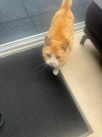 Kat gratis, Kater